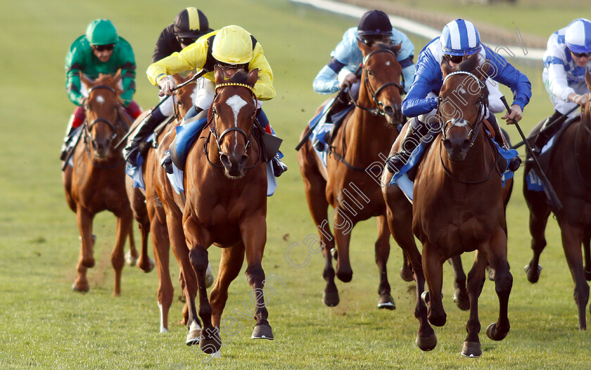 Nearooz-0004 
 NEAROOZ (left, David Egan) beats WATHEERAH (right) in The Godolphin Under Starters Orders Maiden Fillies Stakes Div1
Newmarket 12 Oct 2018 - Pic Steven Cargill / Racingfotos.com