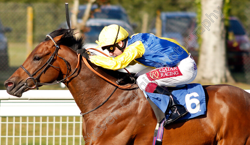 Starfighter-0004 
 STARFIGHTER (Oisin Murphy) wins The Lester Brunt Wealth Management Handicap
Salisbury 5 Sep 2019 - Pic Steven Cargill / Racingfotos.com