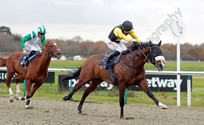 United-Front-0002 
 UNITED FRONT (Tom Marquand) wins The Betway Handicap
Lingfield 1 Dec 2021 - Pic Steven Cargill / Racingfotos.com