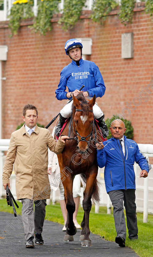 Cross-Counter-0001 
 CROSS COUNTER (James Doyle)
Goodwood 30 Jul 2019 - Pic Steven Cargill / Racingfotos.com