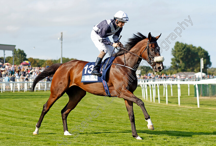 Sierra-Nevada-0001 
 SIERRA NEVADA (Shane Foley)
Yarmouth 14 Sep 2022 - Pic Steven Cargill / Racingfotos.com