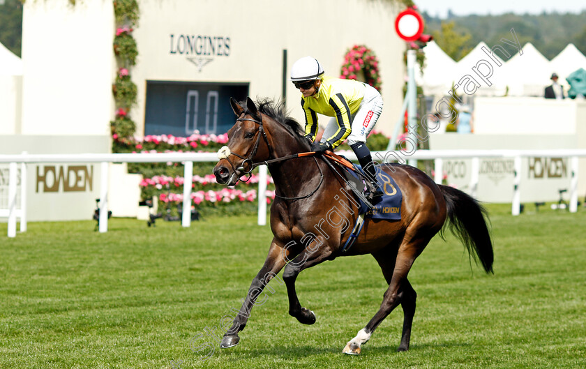 East-India-Dock-0001 
 EAST INDIA DOCK (Hollie Doyle)
Royal Ascot 20 Jun 2024 - Pic Steven Cargill / Racingfotos.com