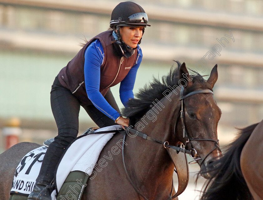 Rise-And-Shine-0001 
 RISE AND SHINE training at Meydan, Dubai
2 Feb 2023 - Pic Steven Cargill / Racingfotos.com