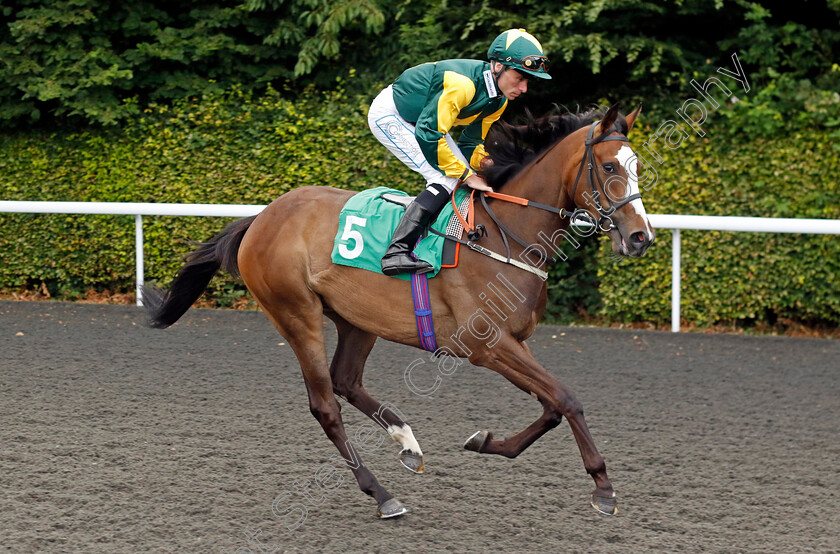 Lady-Kilonova-0001 
 LADY KILONOVA (Kieran Shoemark)
Kempton 16 Jul 2024 - Pic Steven Cargill / Racingfotos.com