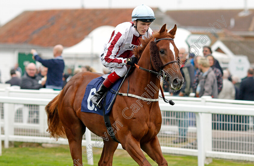 Just-Another-0001 
 JUST ANOTHER (David Egan)
Yarmouth 14 Sep 2021 - Pic Steven Cargill / Racingfotos.com