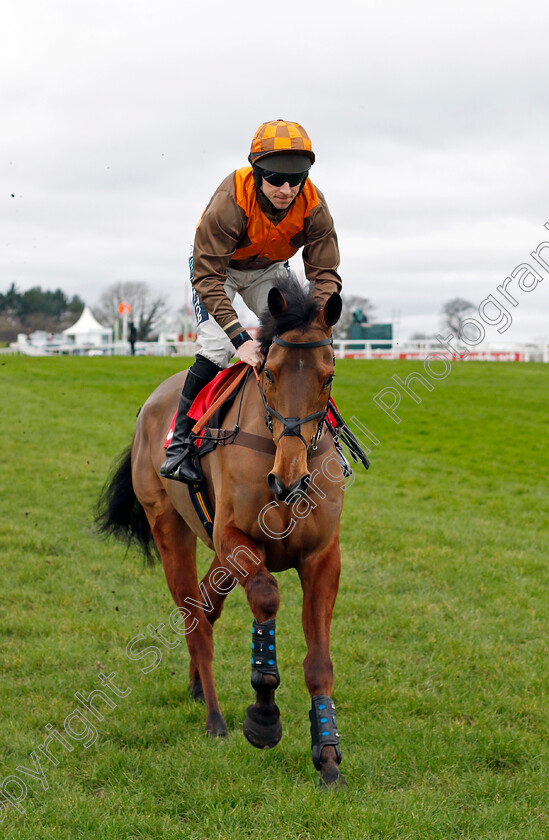 Glengolly-0001 
 GLENGOLLY (Gavin Sheehan) 
Sandown 3 Feb 2024 - Pic Steven Cargill / Racingfotos.com