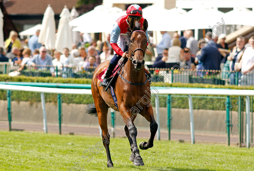 Divine-Comedy-0006 
 DIVINE COMEDY (Kaiya Fraser) winner of The Betfred Nifty 50 Hell Nook Handicap
Haydock 25 May 2024 - Pic Steven Cargill / Racingfotos.com