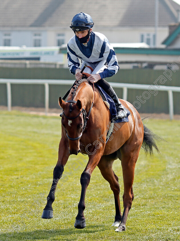 Pokhara-0001 
 POKHARA (Daniel Muscutt)
Yarmouth 20 Apr 2021 - Pic Steven Cargill / Racingfotos.com