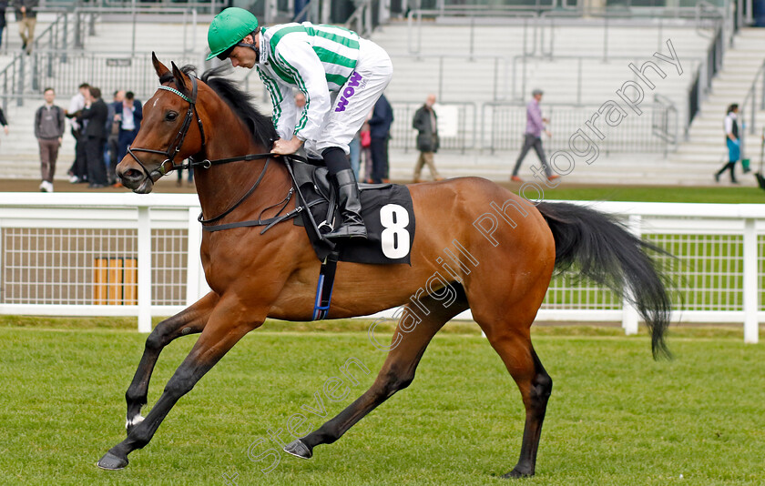 Shaha-0001 
 SHAHA (Kieran Shoemark)
Ascot 1 May 2024 - Pic Steven Cargill / Racingfotos.com