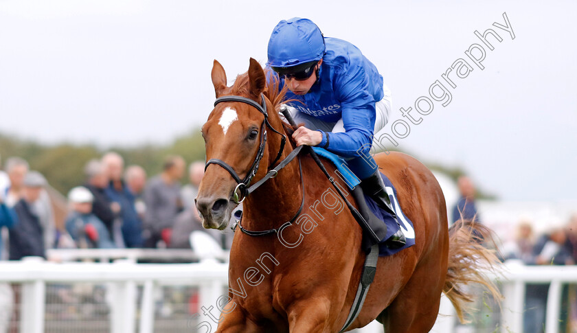 Romantic-Style-0001 
 ROMANTIC STYLE (William Buick) wins The British EBF Fillies Novice Stakes
Yarmouth 19 Sep 2023 - Pic Steven Cargill / Racingfotos.com