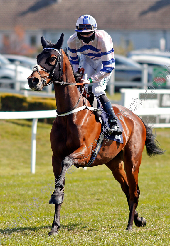 Pour-Joie-0001 
 POUR JOIE (Darragh Keenan)
Yarmouth 19 May 2021 - Pic Steven Cargill / Racingfotos.com