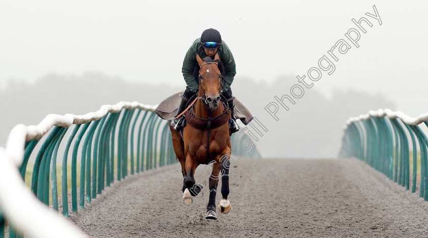 Knight-To-Behold-0002 
 KNIGHT TO BEHOLD, ridden by Mohammed Abdul Qazafi Mirza, on the gallops in preparation for The investec Derby
Lambourn 31 May 2018 - Pic Steven Cargill / Racingfotos.com