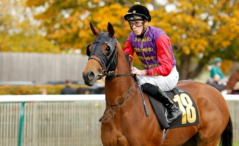 Sound-Mixer-0001 
 SOUND MIXER (James Doyle)
Newmarket 23 Oct 2019 - Pic Steven Cargill / Racingfotos.com