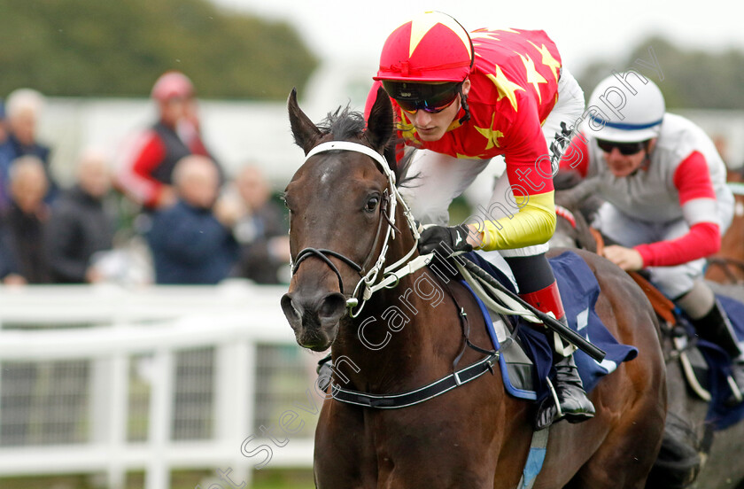 Son-Of-Man-0002 
 SON OF MAN (David Egan) wins The British Stallion Studs EBF Novice Stakes Div1
Yarmouth 19 Sep 2023 - Pic Steven Cargill / Racingfotos.com