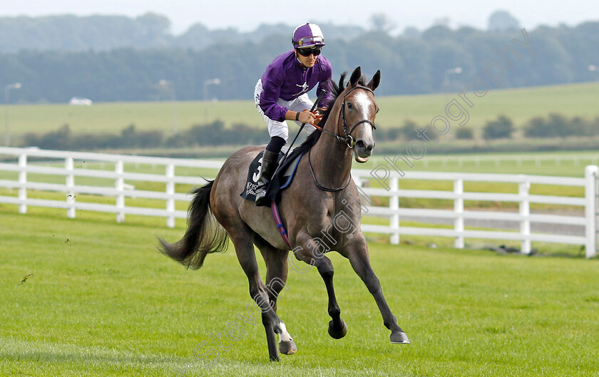 Ornellaia-0001 
 ORNELLAIA (Kevin Stott)
The Curragh 10 Sep 2023 - Pic Steven Cargill / Racingfotos.com