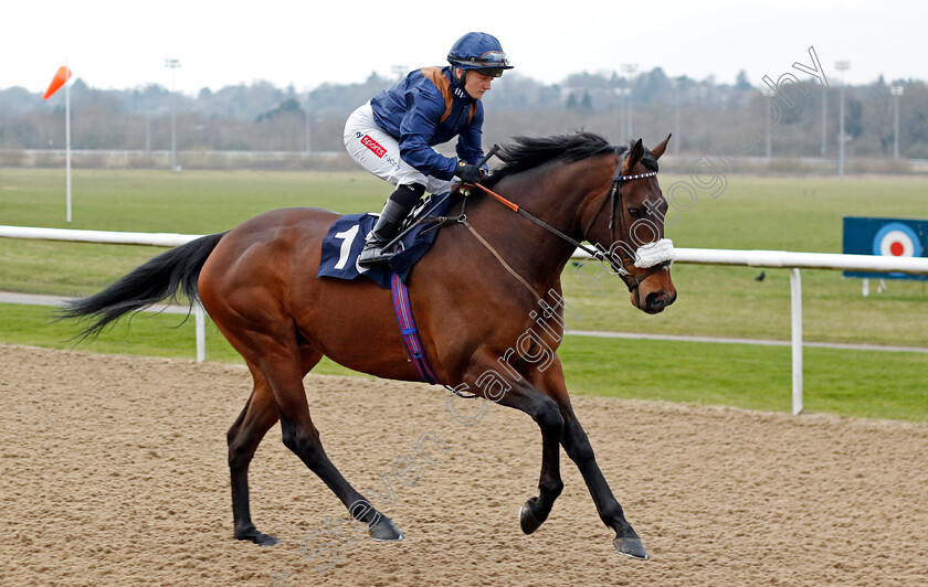 Alazwar-0001 
 ALAZWAR (Hollie Doyle)
Wolverhampton 9 Mar 2024 - Pic Steven Cargill / Racingfotos.com