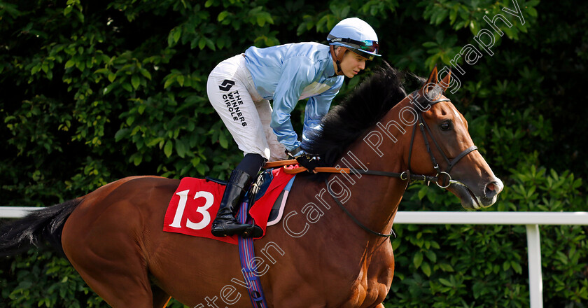 Sir-Lowry s-Pass-0001 
 SIR LOWRY'S PASS (Saffie Osborne)
Sandown 15 Jun 2024 - Pic Steven Cargill / Racingfotos.com