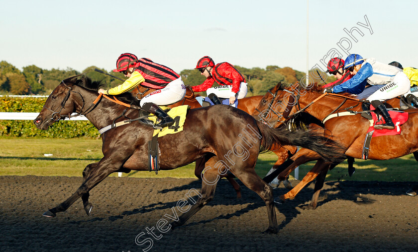 Magicinthemaking-0004 
 MAGICINTHEMAKING (Hollie Doyle) wins The Racing TV Profits To Returned To Racing Handicap Div2
Kempton 2 Oct 2019 - Pic Steven Cargill / Racingfotos.com