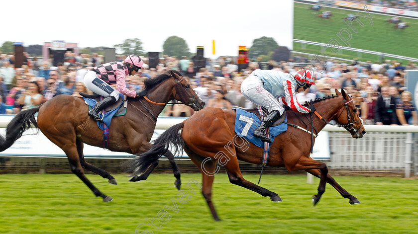 Zealandia-0004 
 ZEALANDIA (Alice Stevens) wins The Queen Mother's Cup
York 11 Jun 2022 - Pic Steven Cargill / Racingfotos.com