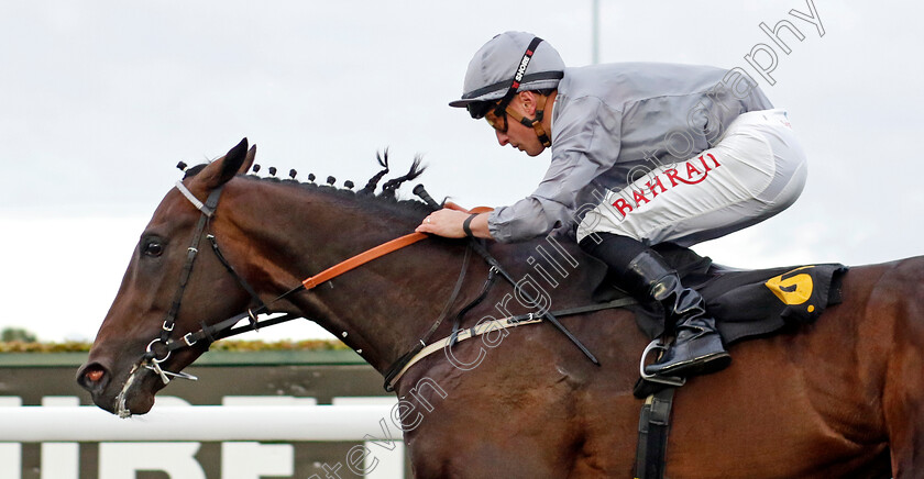 Night-Raider-0001 
 NIGHT RAIDER (Tom Marquand) wins The ebfstallions.com Conditions Stakes
Kempton 2 Oct 2024 - Pic Steven Cargill / Racingfotos.com