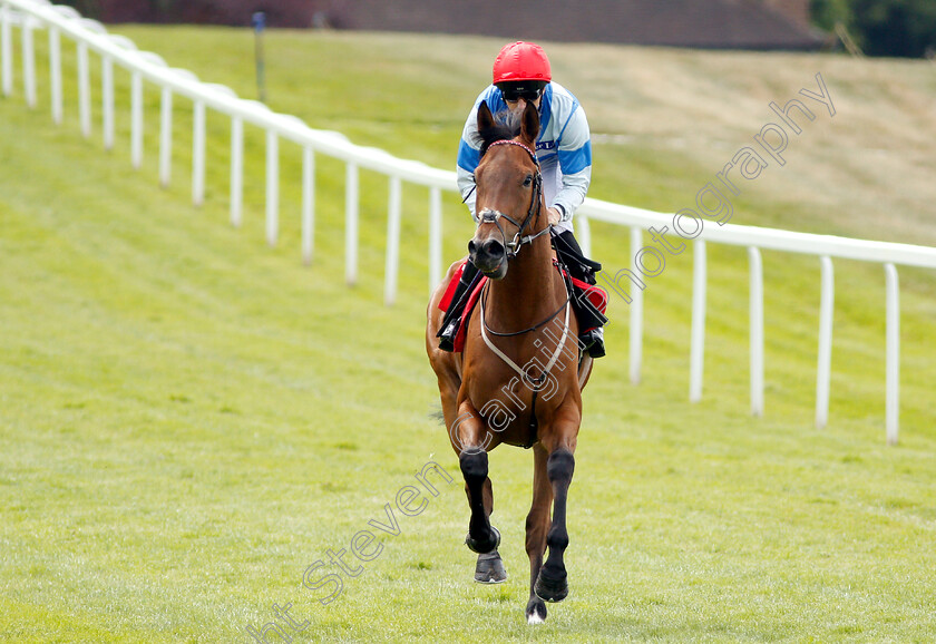 Dukeofwallingford-0001 
 DUKEOFWALLINGFORD (Martin Harley)
Sandown 15 Jun 2018 - Pic Steven Cargill / Racingfotos.com