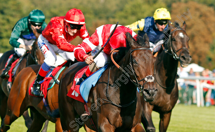 Al-Nafoorah-0002 
 AL NAFOORAH (Andrea Atzeni) wins The BetBright Casino Handicap Sandown 2 Sep 2017 - Pic Steven Cargill / Racingfotos.com