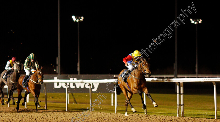 Swallowdale-0001 
 SWALLOWDALE (Tyler Saunders) wins The Play Ladbrokes 5-A-Side On Football Handicap
Wolverhampton 12 Mar 2021 - Pic Steven Cargill / Racingfotos.com