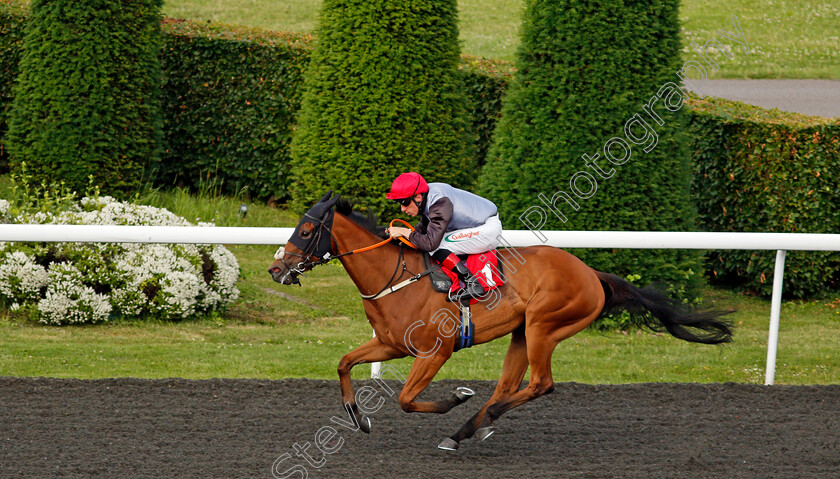 Lockdown-0004 
 LOCKDOWN (Shane Kelly) wins The Unibet New Instant Roulette Handicap
Kempton 30 Jun 2021 - Pic Steven Cargill / Racingfotos.com