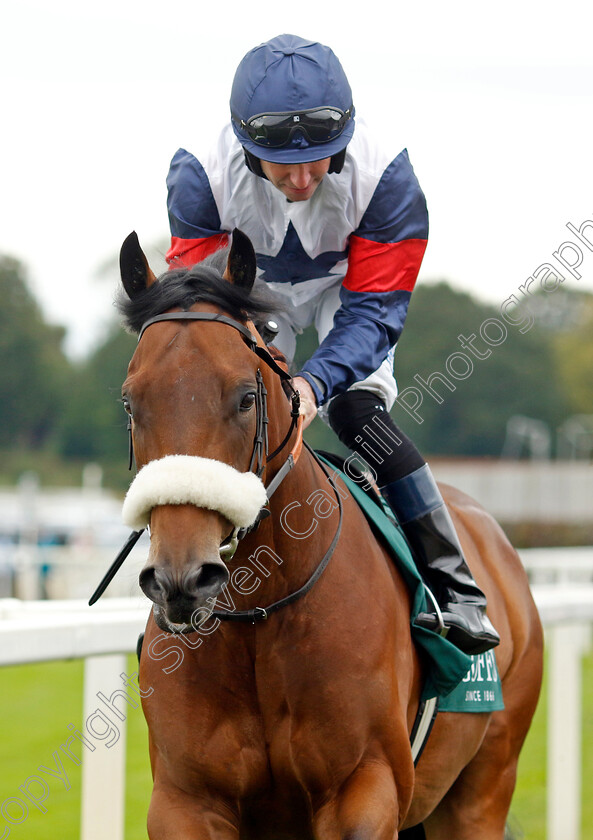 Vantheman-0001 
 VANTHEMAN (Tom Eaves)
York 24 Aug 2023 - Pic Steven Cargill / Racingfotos.com