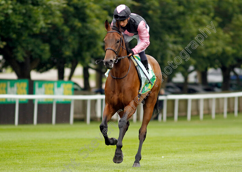 Mr-Monaco-0001 
 MR MONACO (Edward Greatrex)
Newmarket 12 Jul 2024 - Pic Steven Cargill / Racingfotos.com