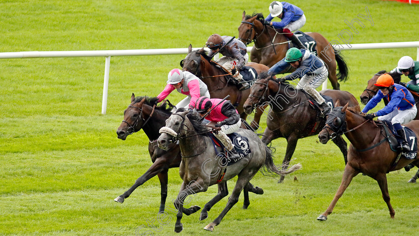 Big-Gossey-0008 
 BIG GOSSEY (Robert Whearty) wins The Irish Stallion Farms EBF Bold Lad Sprint Handicap
The Curragh 10 Sep 2023 - Pic Steven Cargill / Racingfotos.com