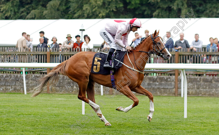 In-These-Shoes-0001 
 IN THESE SHOES (Richard Kingscote)
Newmarket 30 Jun 2023 - Pic Steven Cargill / Racingfotos.com