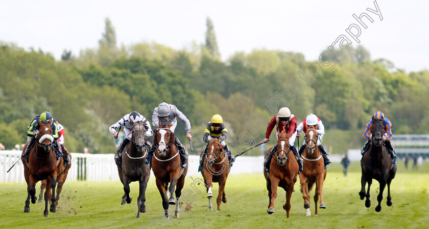 Last-Crusader-0002 
 LAST CRUSADER (centre, Daniel Tudhope) wins The British Stallion Studs EBF Westow Stakes
York 12 May 2022 - Pic Steven Cargill / Racingfotos.com