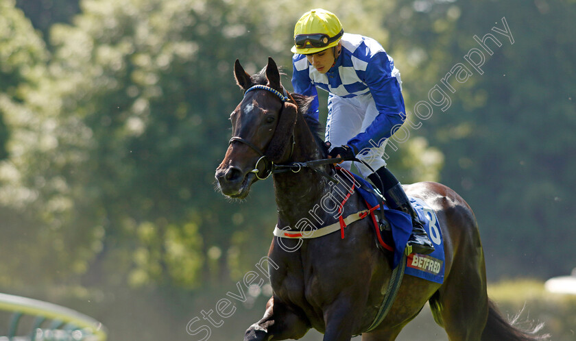 Matilda-Picotte-0002 
 MATILDA PICOTTE (R Whelan)
Haydock 27 May 2023 - Pic Steven Cargill / Racingfotos.com