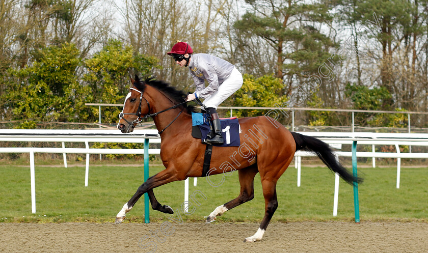 Orne-0002 
 ORNE (Robert Havlin)
Lingfield 7 Mar 2024 - Pic Steven Cargill / Racingfotos.com