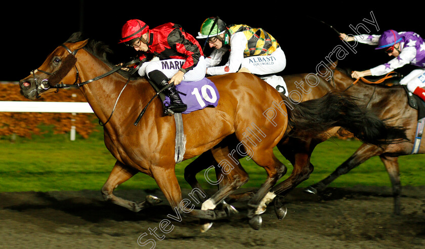 Island-Of-Life-0001 
 ISLAND OF LIFE (Tom Marquand) wins The 32Red Handicap
Kempton 5 Dec 2018 - Pic Steven Cargill / Racingfotos.com