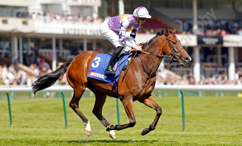 Kinross-0002 
 KINROSS (James Doyle)
Haydock 28 May 2022 - Pic Steven Cargill / Racingfotos.com