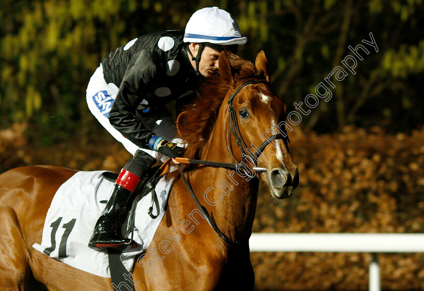 Farzeen-0001 
 FARZEEN (Fran Berry)
Kempton 16 Jan 2019 - Pic Steven Cargill / Racingfotos.com