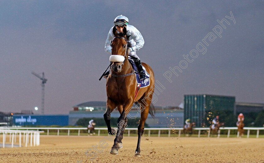 Eye-On-The-Prize-0001 
 EYE ON THE PRIZE (Jose da Silva)
Meydan 27 Jan 2023 - Pic Steven Cargill / Racingfotos.com