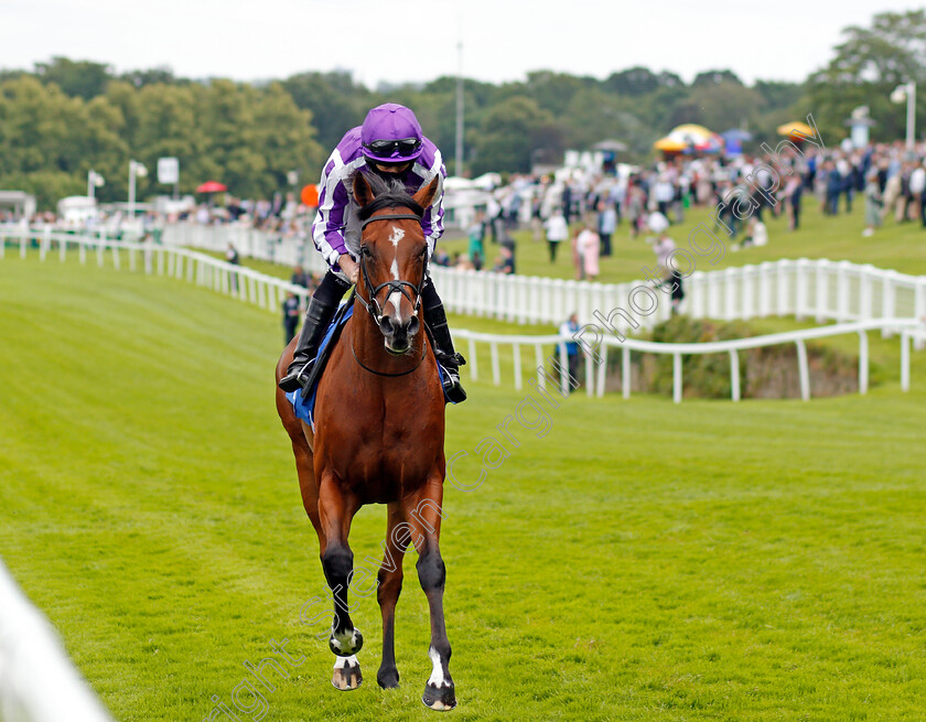 St-Mark s-Basilica-0004 
 ST MARK'S BASILICA (Ryan Moore) before winning The Coral Eclipse Stakes
Sandown 3 Jul 2021 - Pic Steven Cargill / Racingfotos.com