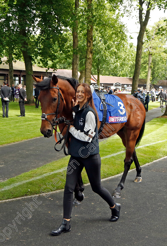 Kerdos-0014 
 KERDOS winner of The Betfred Temple Stakes
Haydock 25 May 2024 - Pic Steven Cargill / Racingfotos.com