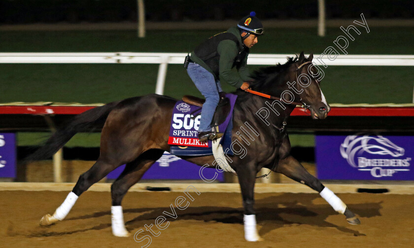 Mullikin-0001 
 MULLIKIN training for the Breeders' Cup Sprint
Del Mar USA 30 Oct 2024 - Pic Steven Cargill / Racingfotos.com