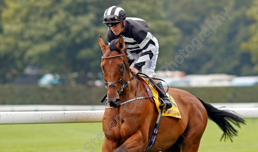 No-Say-Ever-0002 
 NO SAY EVER (Franny Norton)
Haydock 7 Sep 2024 - Pic Steven Cargill / Racingfotos.com