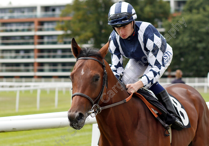 Korcho-0001 
 KORCHO (Oisin Murphy)
Newbury 17 Aug 2018 - Pic Steven Cargill / Racingfotos.com