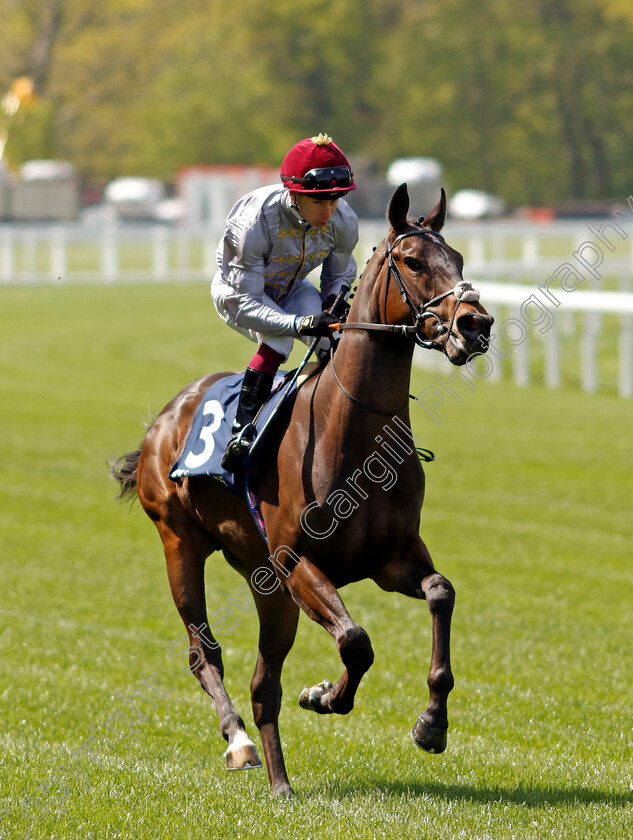 Balagh-0002 
 BALAGH (Oisin Murphy)
Ascot 3 May 2023 - Pic Steven Cargill / Racingfotos.com