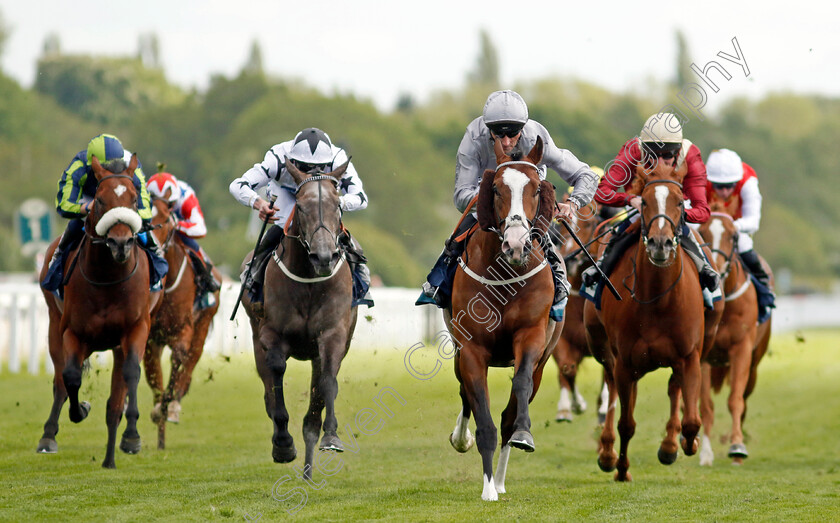 Last-Crusader-0006 
 LAST CRUSADER (Daniel Tudhope) wins The British Stallion Studs EBF Westow Stakes
York 12 May 2022 - Pic Steven Cargill / Racingfotos.com