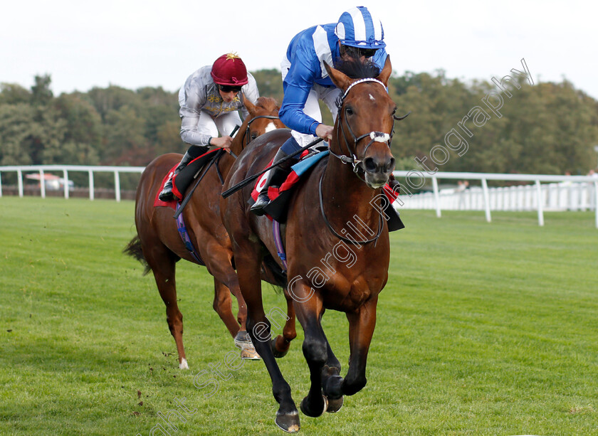 Wadilsafa-0008 
 WADILSAFA (Jim Crowley) wins The Smarkets Fortune Stakes
Sandown 19 Sep 2018 - Pic Steven Cargill / Racingfotos.com