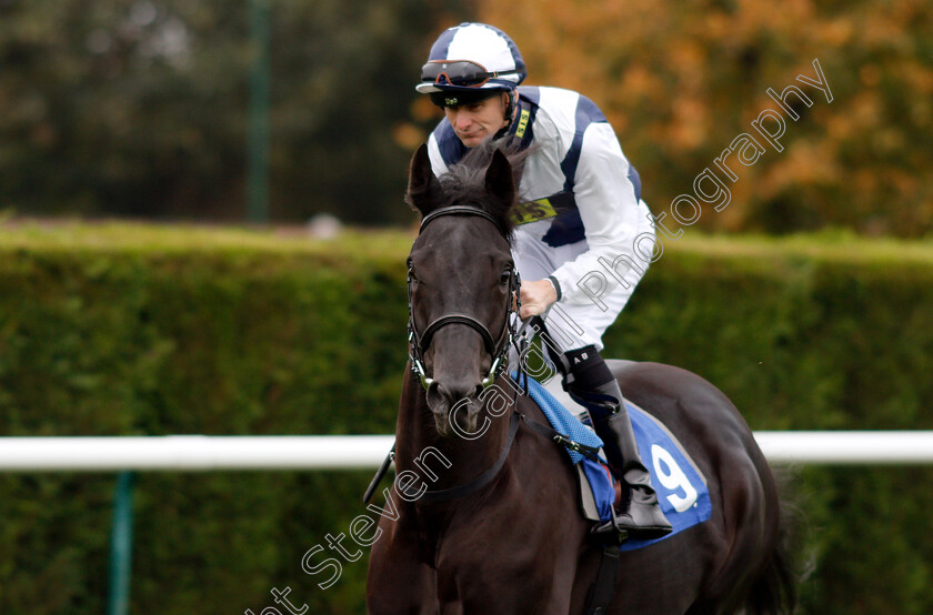 Wilfred-Owen-0001 
 WILFRED OWEN (Robert Havlin) Nottingham 18Oct 2017 - Pic Steven Cargill / Racingfotos.com