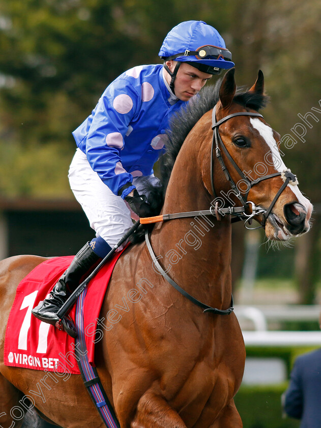 Youthful-King-0002 
 YOUTHFUL KING (Ethan Jones)
Kempton 6 Apr 2024 - Pic Steven Cargill / Racingfotos.com