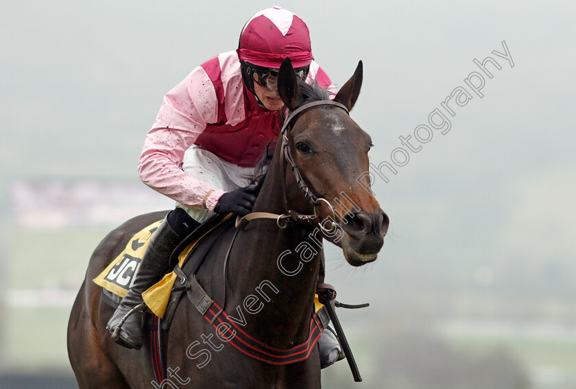 Galahad-Quest-0008 
 GALAHAD QUEST (Harry Cobden) wins The JCB Triumph Trial Juvenile Hurdle
Cheltenham 25 Jan 2020 - Pic Steven Cargill / Racingfotos.com